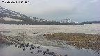 area1-20250516061020.jpg