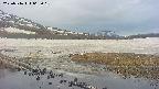 area1-20250516062018.jpg