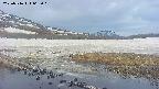 area1-20250516063020.jpg