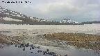 area1-20250516070018.jpg