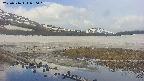 area1-20250516080020.jpg