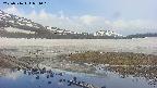 area1-20250516081019.jpg