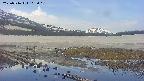 area1-20250516102019.jpg