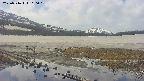 area1-20250516110017.jpg