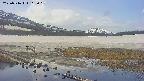 area1-20250516112019.jpg