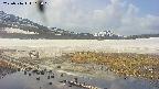 area1-20250516113020.jpg