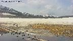 area1-20250516114020.jpg