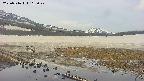 area1-20250516115021.jpg
