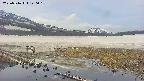 area1-20250516120019.jpg