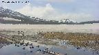 area1-20250516122019.jpg