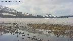 area1-20250516125019.jpg