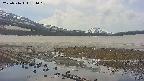 area1-20250516131018.jpg