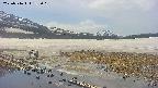 area1-20250516132016.jpg