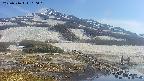 area1-20250516160020.jpg