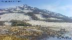 area1-20250516161021.jpg
