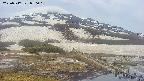 area1-20250517050019.jpg