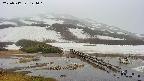 area1-20250517141019.jpg
