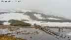area1-20250517165019.jpg