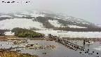 area1-20250517172017.jpg
