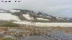 area1-20250518060019.jpg