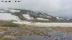 area1-20250518061020.jpg