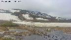 area1-20250518063019.jpg