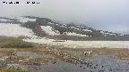 area1-20250518064021.jpg