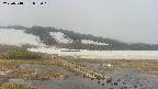 area1-20250518083019.jpg