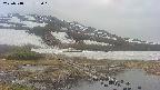 area1-20250518175019.jpg