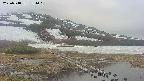 area1-20250518181019.jpg