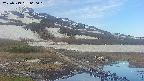 area1-20250519060019.jpg