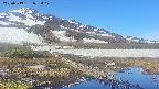 area1-20250519072018.jpg