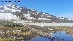 area1-20250519074018.jpg