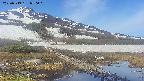 area1-20250519080020.jpg