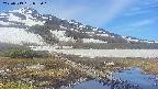 area1-20250519082020.jpg