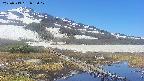 area1-20250519092018.jpg