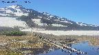 area1-20250519130018.jpg