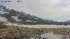 area1-20250519151019.jpg