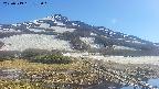 area1-20250519155019.jpg