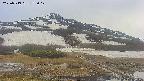 area1-20250519175018.jpg