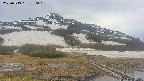 area1-20250519180020.jpg