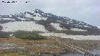 area1-20250519183016.jpg