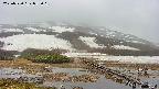 area1-20250520052019.jpg