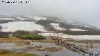 area1-20250520055018.jpg