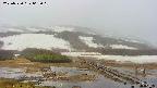 area1-20250520063020.jpg