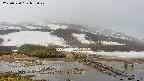 area1-20250520073020.jpg