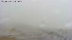 area1-20250520081018.jpg