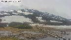area1-20250520125020.jpg