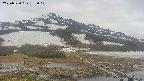 area1-20250520133018.jpg