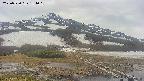 area1-20250520134019.jpg
